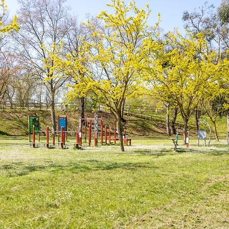 Holiday home Goldhome - Puigmalc