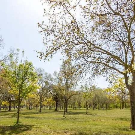 Holiday home Goldhome - Puigmalc *